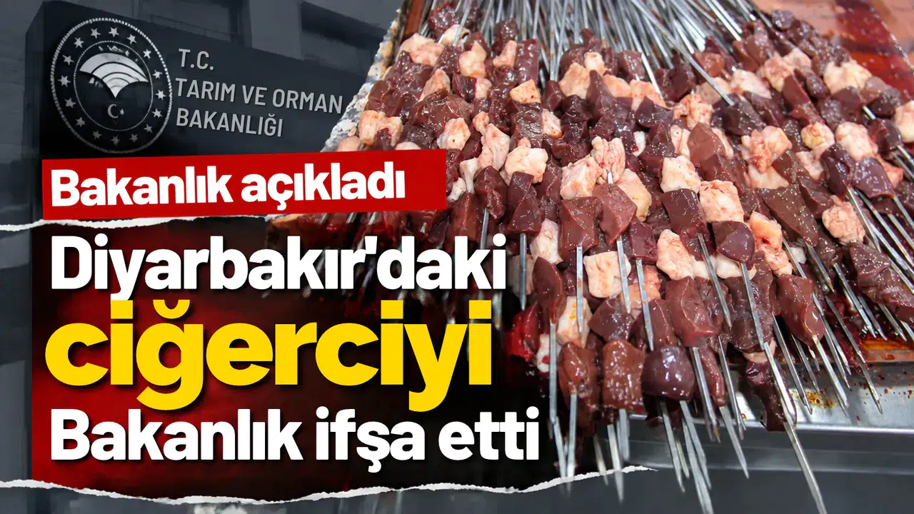 Diyarbakır'daki ciğerci ifşa listesine girdi: Adana Kebap'ta bakın ne çıktı!