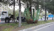 Ağaç sökümüyle ilgili Diyarbakır Büyükşehir Belediyesi'nden açıklama geldi