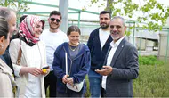 Diyarbakır'da belediyenin sera alanı üniversite öğrencilerine ilham verdi