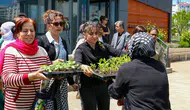 Diyarbakır'da vatandaşlara ücretsiz fide dağıtılıyor: Domates, biber, salatalık revaçta