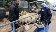 Diyarbakır'daki hayvan pazarında hareketlilik yok: Besiciler umudunu koruyor