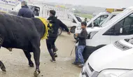 Diyarbakır'da kaçan boğa paniğe neden oldu: Korku dolu anlar yaşandı