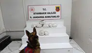 Diyarbakır’da zehir tacirlerine geçit yok: 150 kişi yakalandı, 26 kilo esrar ele geçirildi