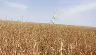 Diyarbakır'da itfaiye alarm verdi: Çiftçilere 'Sakın yakmayın' uyarısı geldi