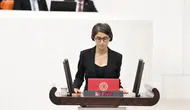 Milletvekili Cupolo Diyarbakır'da ayyuka çıkan çete iddialarını Meclis'e taşıdı