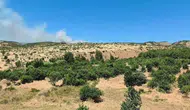 Dicle'de ağaçlık alanda yangın paniği: Küpetaşı Mezrası'nda ekipler seferber oldu