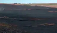 Silvan'da hasat faciası 150 dönümlük ekili ve anız alanı kıvılcımlarla küle döndü