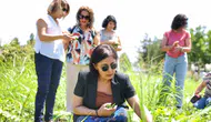 Diyarbakır'da kültürel mirası koruyacak doğal tohumlar ürünlerini verdi