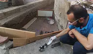 Diyarbakır'da annesiz kalan 5 yavru kedi için mahalleli seferber oldu: İnsanlık ölmemiş