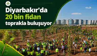 Diyarbakır'da yeşil dönüşüm başlıyor: 20 bin fidan için geri sayım