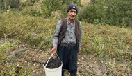 Diyarbakır Çüngüş'te aronya bereketi: Şifa deposu meyvenin hasadı başladı