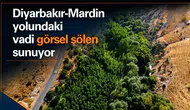 Diyarbakır Mardin yolundaki vadi görsel şölen sunuyor: Doğa tutkunlarının uğrak yeri