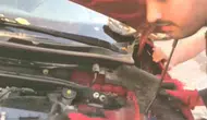 Diyarbakır'da araç motoruna sığınan 3 yavru kedi itfaiye ekiplerince kurtarıldı