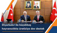 Diyarbakır'da küçükbaş hayvancılık atağı: 2 milyon TL'ye kadar kredi sağlanacak