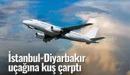 İstanbul-Diyarbakır uçağına kuş çarptı: Ankara'ya iniş yapıldı