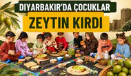 Diyarbakır'da çocuklar zeytin kırdı: Geleneksel üretimi yakından tanıdılar