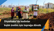 Diyarbakır'da kadınlar kışlık üretim için toprağa döndü: Kararları da onlar alıyor