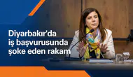 Diyarbakır'da 30 ayda 112 bin kişi başvurdu, 1200 kişi alındı: Eşbaşkan Bucak duyurdu