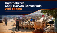 Diyarbakır'da Canlı Hayvan Borsası'nda yeni dönem: Çalışma günleri değişti