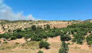 Dicle Küpetaşı mezrasında ağaçlık bölgeyi saran alevler ekipleri alarma geçirdi