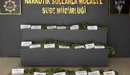 Hevsel Bahçeleri'nde şafak operasyonu 12 bin kök kenevir imha edilerek yok edildi