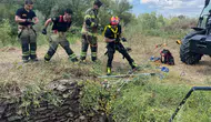 Diyarbakır Sur ilçesinde kuyuda mahsur kalan yaban domuzu itfaiye ile özgürlüğüne kavuştu