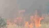 Çermik Çukur Mahallesi'nde anız yangını tehlikesi Alevler evlere ulaşmadan durduruldu
