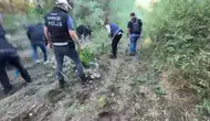Diyarbakır Hevsel Bahçeleri'nde şafak vakti narkotik operasyonu 12 bin kök kenevir imha