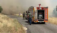 Diyarbakır Eğil'de buğday hasadı öncesi felaket Yüzlerce dönüm arazi alevlere teslim oldu