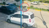 Ergani kara yolunda beklenmedik misafir Başıboş eşek sürücülere zor anlar yaşattı