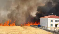 Diyarbakır Bağlar'da Kamışlo Bulvarı çevresini saran alevler evlere ulaşmadan söndürüldü