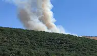 Silvan Çalıönü’ndeki meşe ormanında korkutan yangın Ekipler alevleri söndürdü