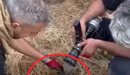Lice'de 450 dönümlük alan küle döndü İtfaiye ekipleri alevlerin içinden kaplumbağa