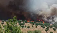 Diyarbakır'da yangın bilançosu ağırlaşıyor İki ayda 100 bin hektar kül oldu