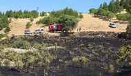 Ergani'de yüksek gerilim hattında kuş kaynaklı yangın paniği Ekipler müdahale etti