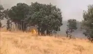 Lice'nin Türeli kırsalında korkutan yangın Alevler yerleşim yerlerine yaklaşıyor