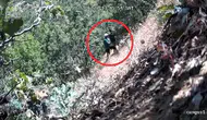 Diyarbakır'da CHP'li başkan ve oğlu Çüngüş'te ormanda kenevir sularken fotokapana yakalandı