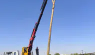 Şanlıurfa kırsalında anız yangınları enerji şebekesine ağır darbe vurdu 71 direk yandı