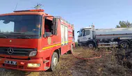 Çınar ilçesindeki anız yangını doğayı vurdu Elektrik direğindeki iki leylek telef oldu