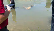 Sur ilçesinde acı haber Bağıvar mevkisinde Dicle Nehri'nde cansız bir beden bulundu