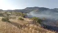 Dicle ilçesinde korkutan örtü yangını Alevler rüzgarın etkisiyle geniş alana yayıldı