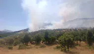 Çüngüş Geçit Mahallesi'nde alevler yükseldi Ekipler yangını söndürmek için seferber oldu