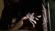 Kayapınar’da büfe yangını Alevlerin arasında kalan kedi itfaiye ile hayata tutundu