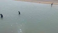 Silvan'da kayıp Abdullah Yanık için Batman Çayı hattında üçüncü gün arama seferberliği