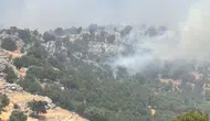 Çüngüş'ün Mırgan Yaylası'nda örtü yangını paniği Ekipler alevlerle mücadele ediyor