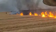 Diyarbakır Silvan'da anız yangını korkuttu 5 bin dönüm arazi küle döndü