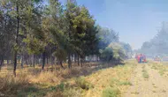 Dicle Üniversitesi Onkoloji Hastanesi çevresinde korkutan yangın Ekipler müdahale etti