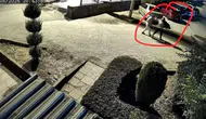 Sümerpark'ta çocuğunun gözü önünde eşini vuran zanlı, adliyeye sevk edildi