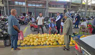 Diyarbakır'da temuhane kavunu bereketi Çermik'in meşhur lezzeti tezgahlarda yerini aldı