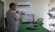 Diyarbakır'da 500 bin TL'lik güvercinlere otel konforu Klimalı odalarda serinliyorlar